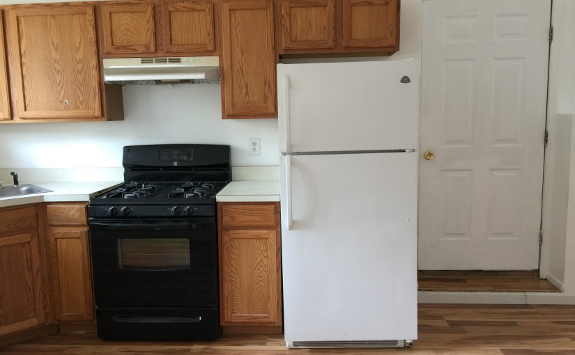 One Bedroom Apartment Princes Bay&nbsp;$1400