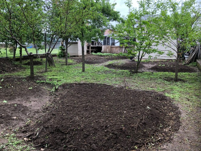 Organic farming in Staten Island