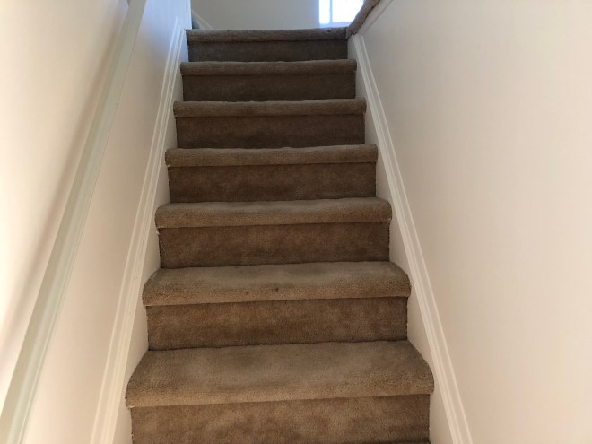 Three bedroom Eltingville