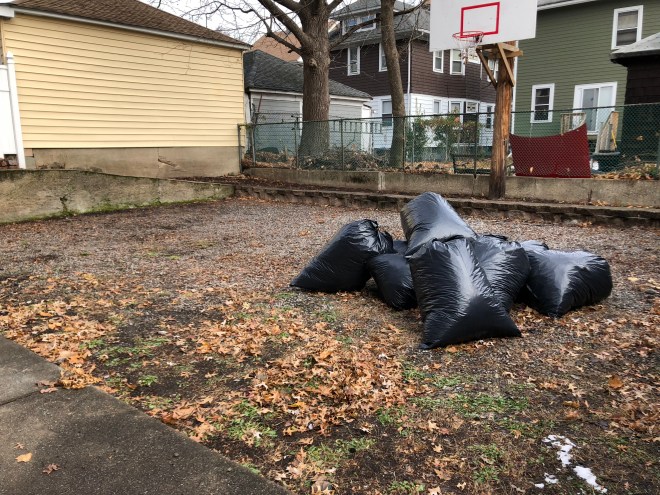 Apartment with yard space